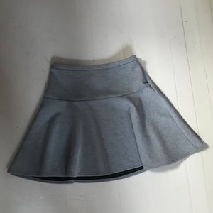 Gray Fit N Flare Skirt